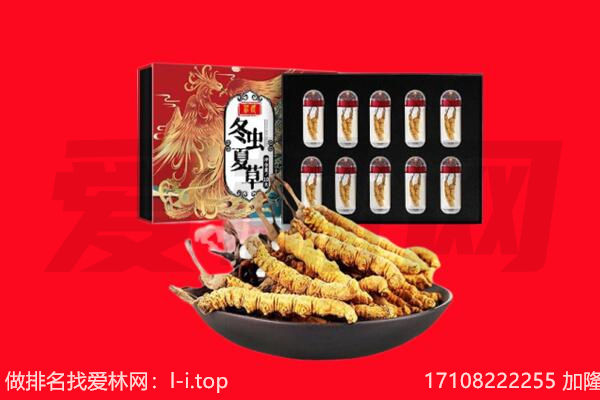 襄城县回收虫草.jpg